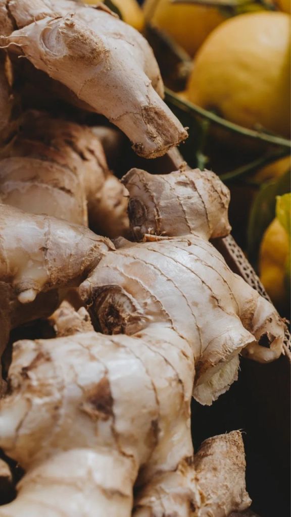Ginger Water Benefits