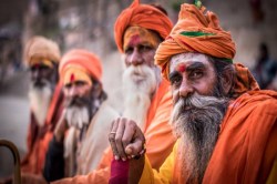 Ayodhya Parikrama: अयोध्या की ऐतिहासिक चौदह कोसी परिक्रमा का शुभारंभ: प्राण
प्रतिष्ठा के बाद पहली परिक्रमा में उमड़ा भक्तों का जनसैलाब - image