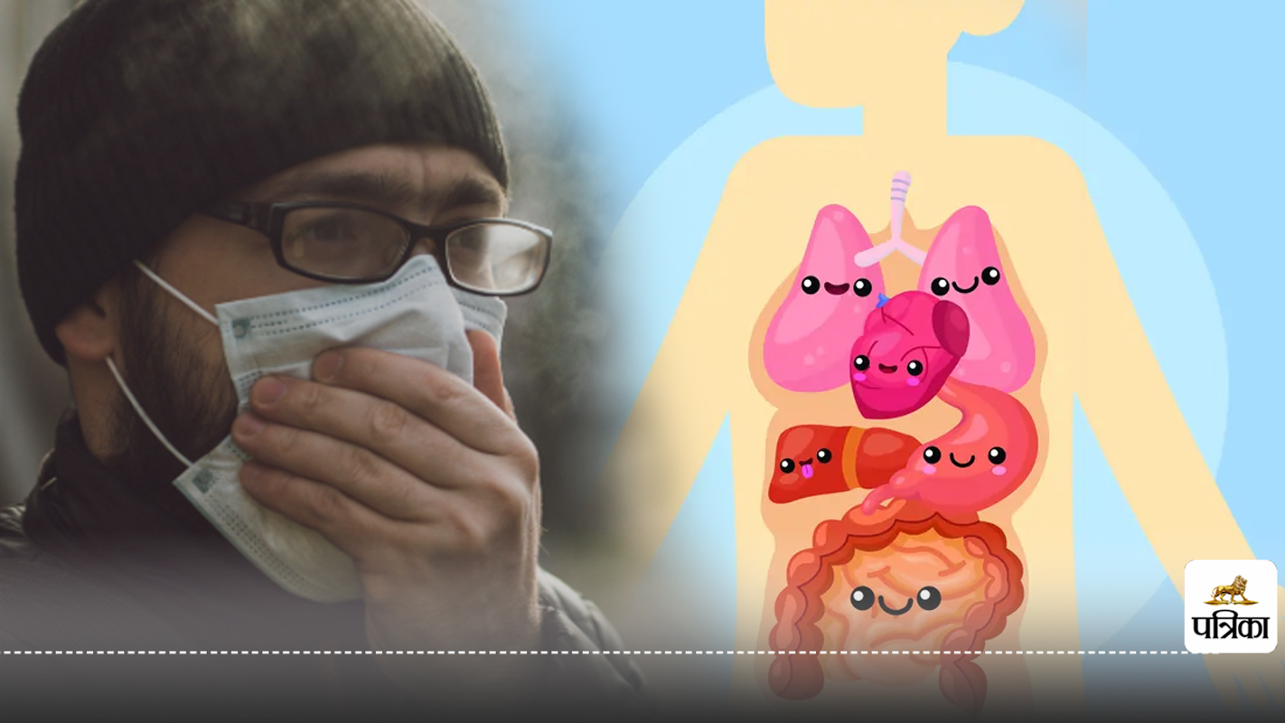 Air pollution effects on digestion