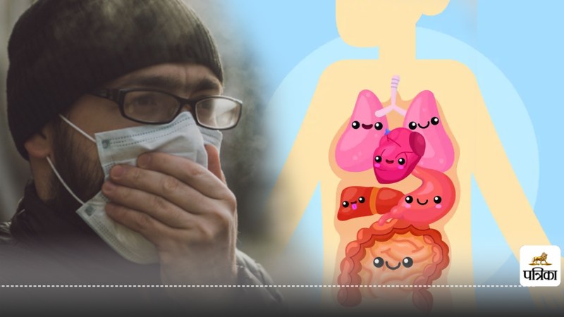 Air pollution effects on digestion