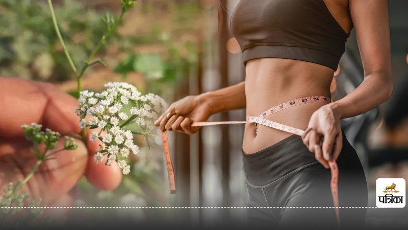 Ajwain Seeds for Weight Loss and Instant Cold Relief