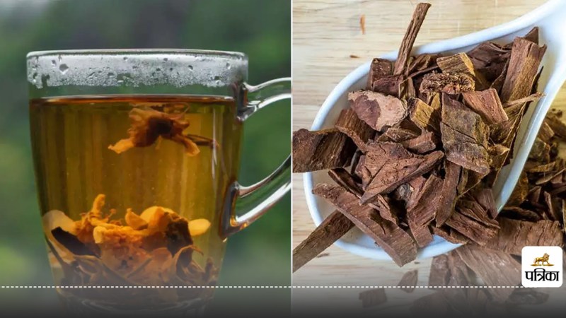 Discover 5 Miraculous Health Benefits of Daily Arjuna Bark Intake