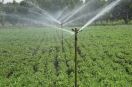 No subsidy was received on fountain plant, mini sprinkler and drip plant