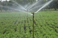 No subsidy was received on fountain plant, mini sprinkler and drip plant