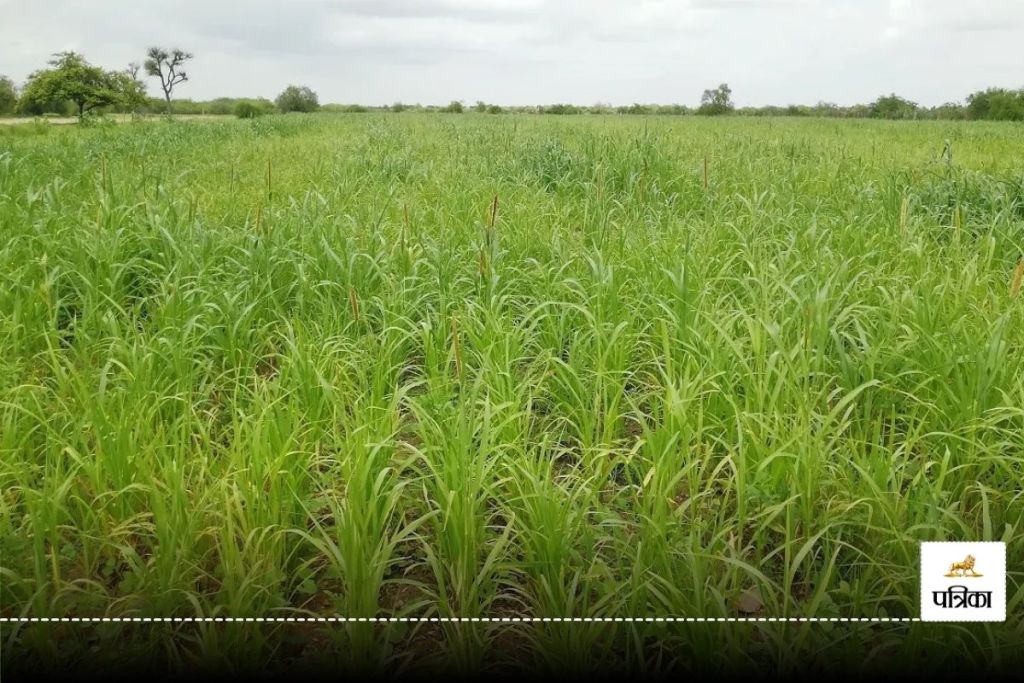 high-tech farming