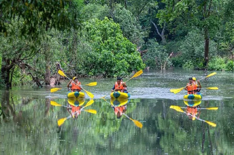 CG Tourism, Dhudmaras, Bastar Dhudmaras