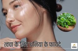 Benefits of Coriander for Skin: धनिया सिर्फ चटनी के लिए ही नहीं है, चेहरे के लिए
भी वरदान है, पिम्पल्स से लेकर झुर्रियों तक का है इलाज - image