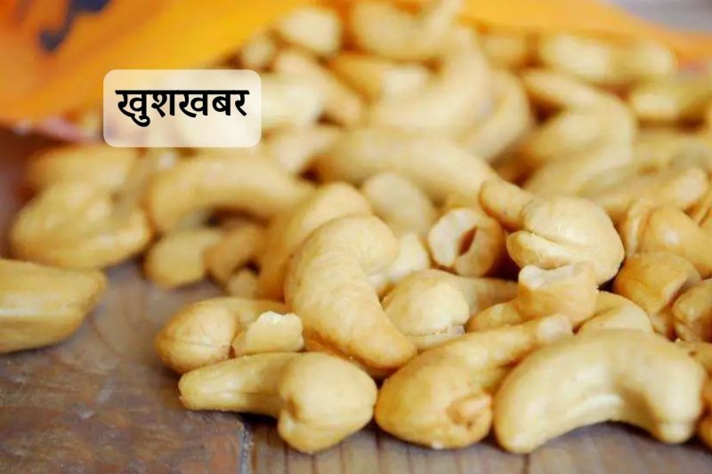 Rajasthan in this City Set up Cashew Processing Unit MoU Signed Get Employment