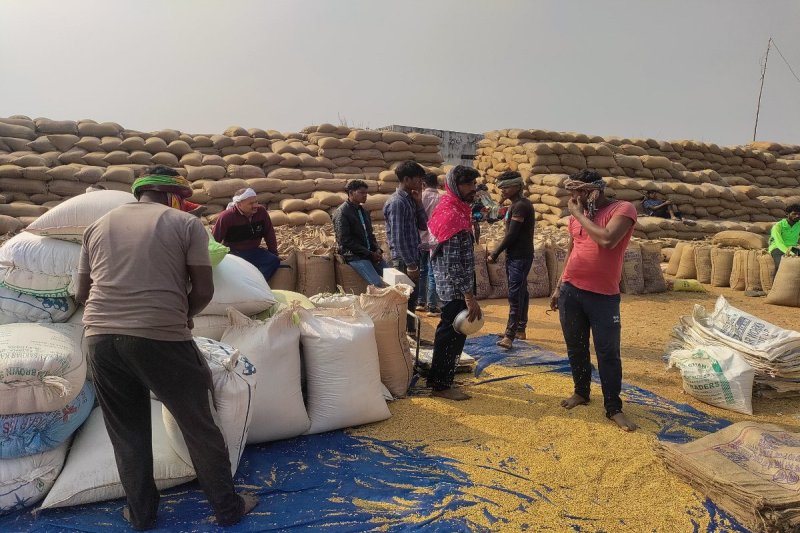 Collector in farmer dress