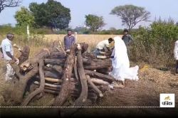 चाचा के अंतिम संस्कार के लिए भतीजे ने रखी ये डिमांड, बेबस होकर फिर पत्नी ने दी
मुखाग्नि, लोगों के छलके आंसू - image