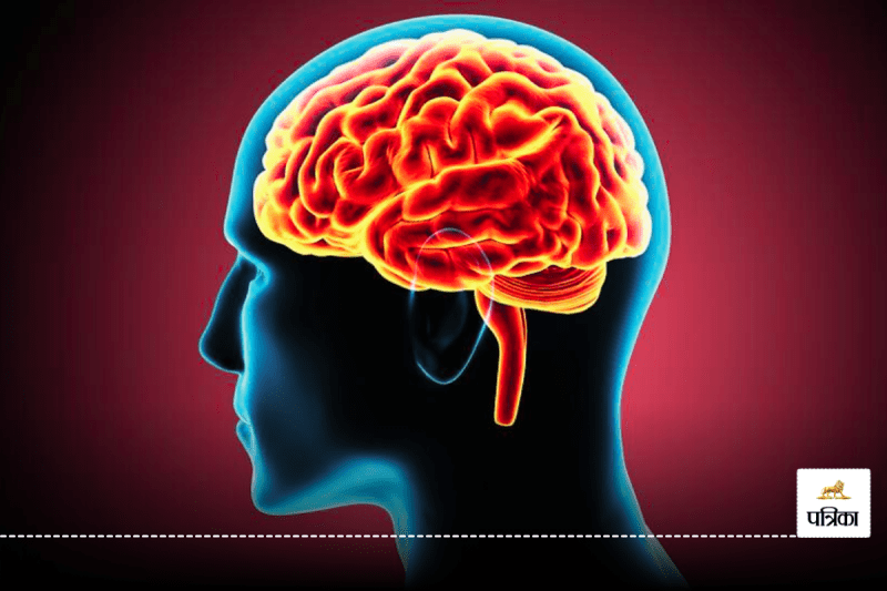 You can increase blood circulation in the brain in these 5 ways