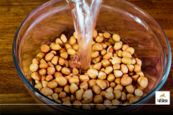 Health Benefits Soaked Peanuts : बालों के लिए फायदेमंंद है भीगी मूंगफली, जानिए
इससे होेने वाले फायदे - image