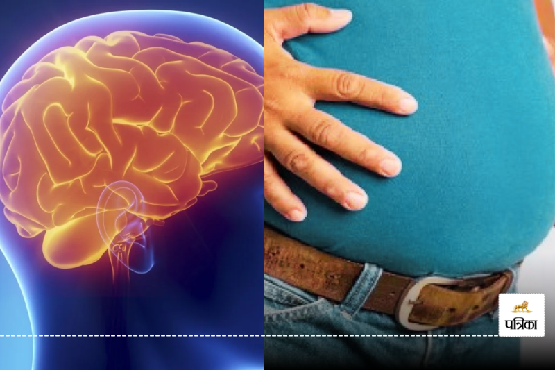 obesity affects brain
