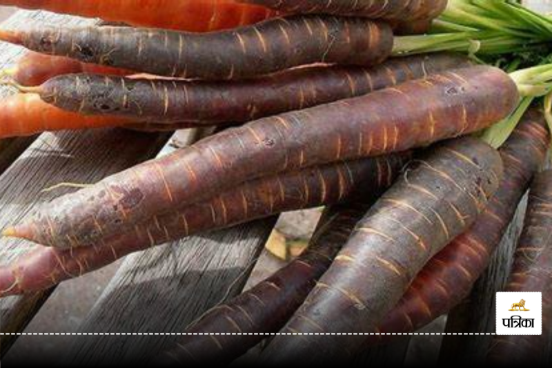 benefits of black carrots in winter