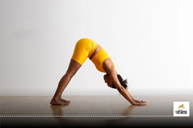 Downward Dog Pose Yoga