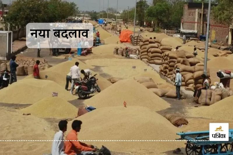 E-Mandi Facility New Change Now Rajasthan Farmers will be able to Sell their Grains in Market at Home