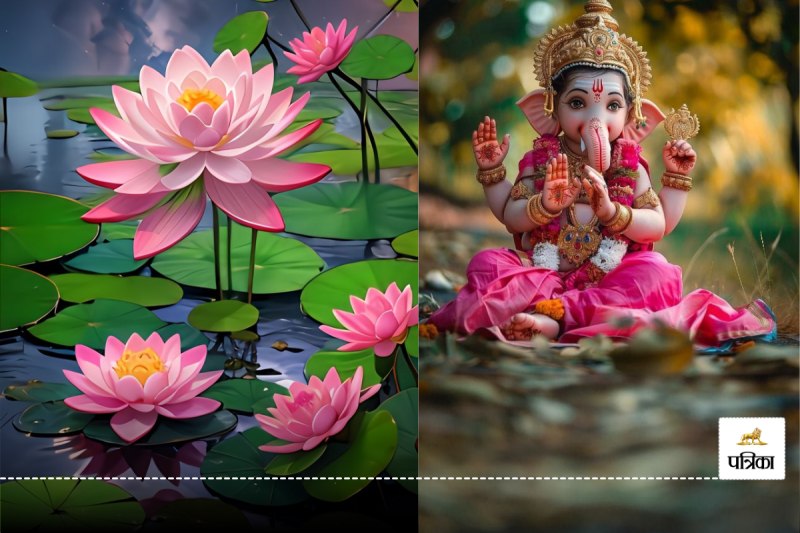 God Favourite Flower