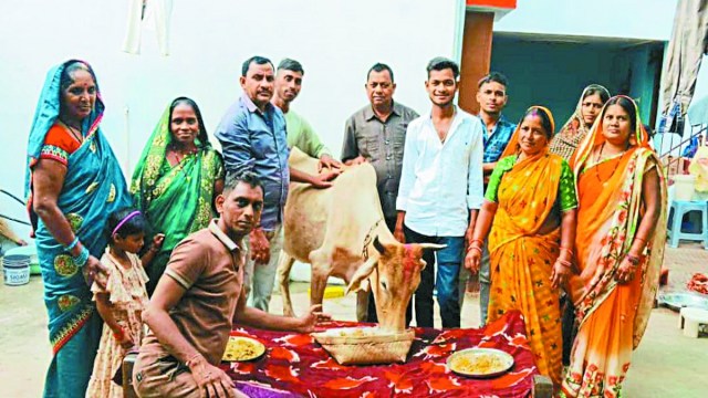 गोवर्धन पूजा के दिन घरों में कद्दू व कोचई की सब्जी बनाई गई। पूड़ी, बड़ा को खिचड़ी में मिलाकर गौ वंश को खिलाया गया। वहीं गौवंश के बाद परिवार सहित लोगों ने खिचड़ी खाई।