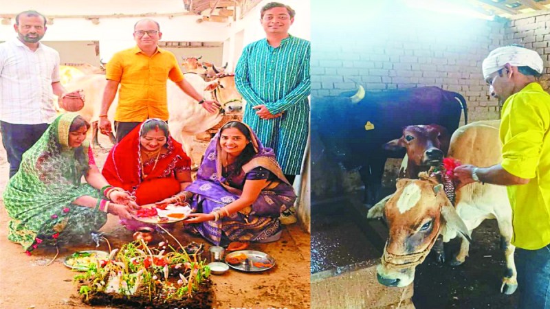 शनिवार को जिले भर में गोवर्धन पर्व धूमधाम से मनाया गया। बालोद जिला मुख्यालय सहित ग्रामीण अंचलों में सुबह से ही गौ वंश को स्नान कराकर घरों में गाय के गोबर का गिरिराज गोवर्धन की आकृति बनाकर विधि विधान से पूजा की गई।