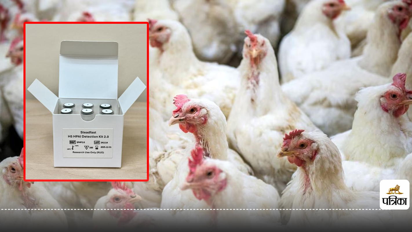 Steadfast Kit for Bird Flu