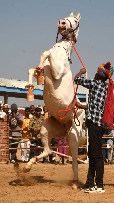 Short video poster image