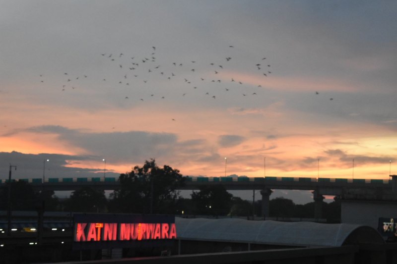 effect of north wind on weather