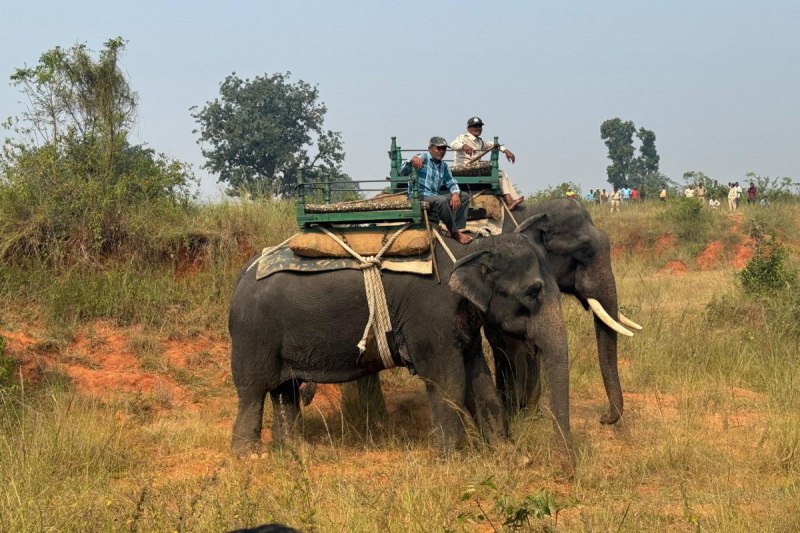 Rescue of baby elephant