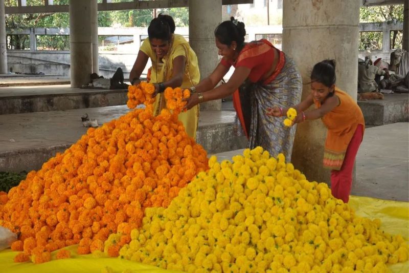 Deepawali Festival: 800 quintals of flowers sold in two days