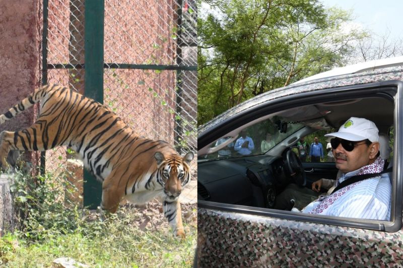 Nahargarh Biological Park