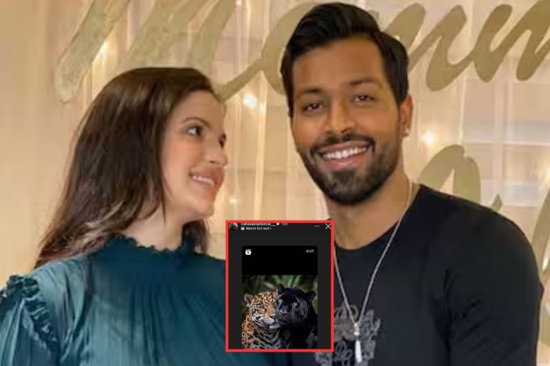 Natasa Hardik Pandya Divorce