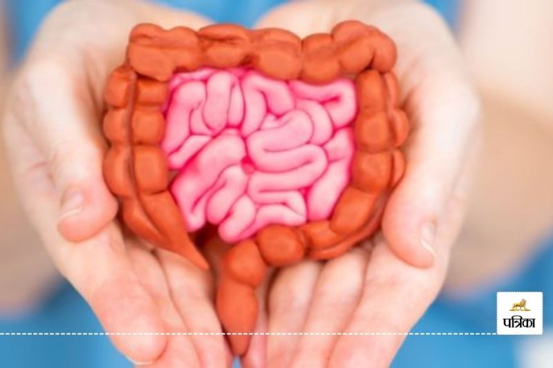 Natural ways to clean intestines High-fiber foods for gut health Gut health diet plan aato ki safai