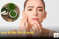 Neem Benefits for Skin: चेहरे की अलग-अलग समस्याओं के लिए रामबाण है नीम का पत्ता,
जानिए कैसे करें इस्तेमाल - image