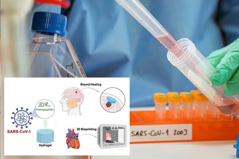 Indian Scientists Discover a New Method to Create Hydrogels