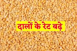 Pulses Price: अचानक बढ़ गए दालों के रेट, जानिए क्या है 1 क्विंटल का भाव - image