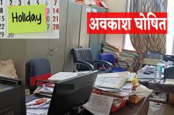 Public Holiday: 2 बड़े कारणों से सरकार ने 13 और 15 नवंबर को घोषित की छुट्टी - image