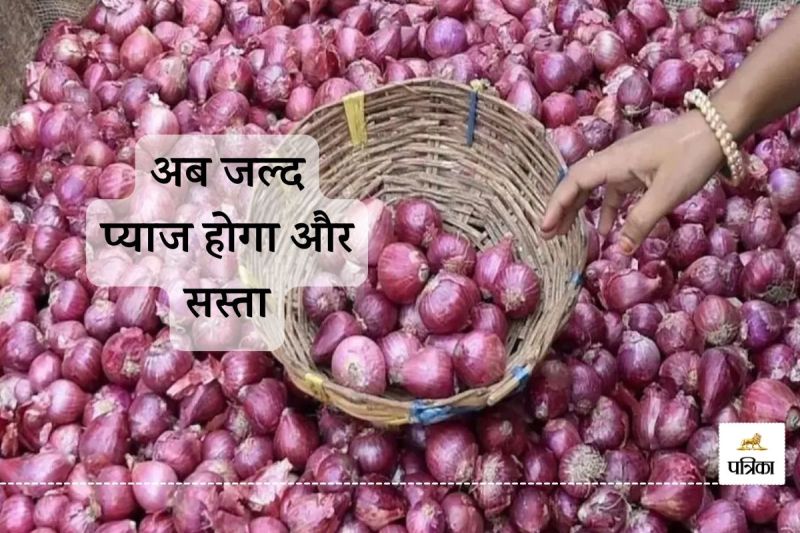 Rajasthan Great News New Onions from Alwar Started Arriving Market Prices Fell Drastically