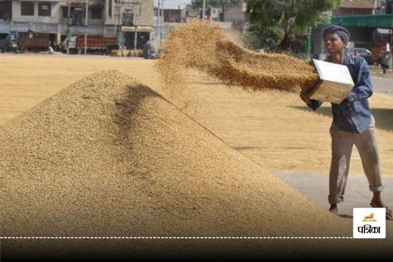 Paddy Purchase in Uttar Pradesh