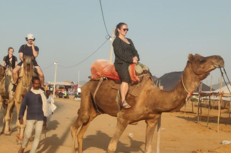 Pushkar Mela 2024, Foreign tourists enjoying camel safari, See photos