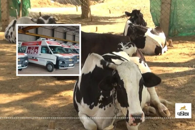 Rajasthan Government Big Order these two Services Declared as Essential Services for 6 Months