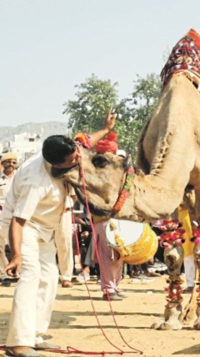 Short video poster image