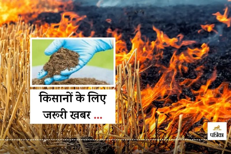 Rajasthan Hanumangarh If You Burn Stubble in Field Huge Losses Agriculture Department has given Advice to Farmers