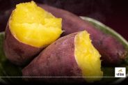 Sweet Potato Recepies