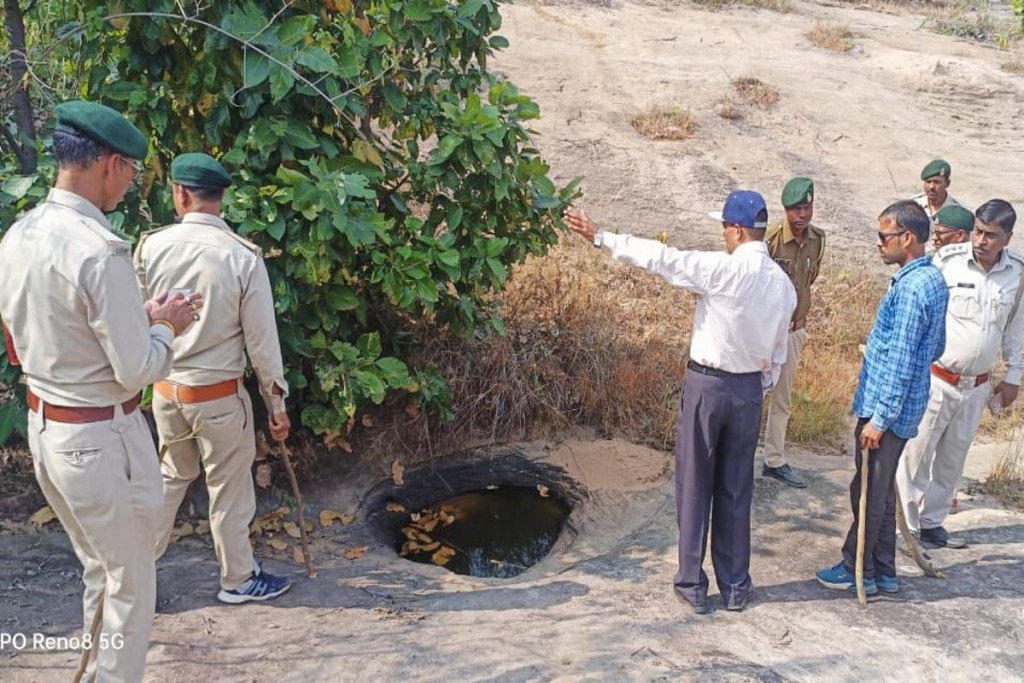 Tiger in Surajpur