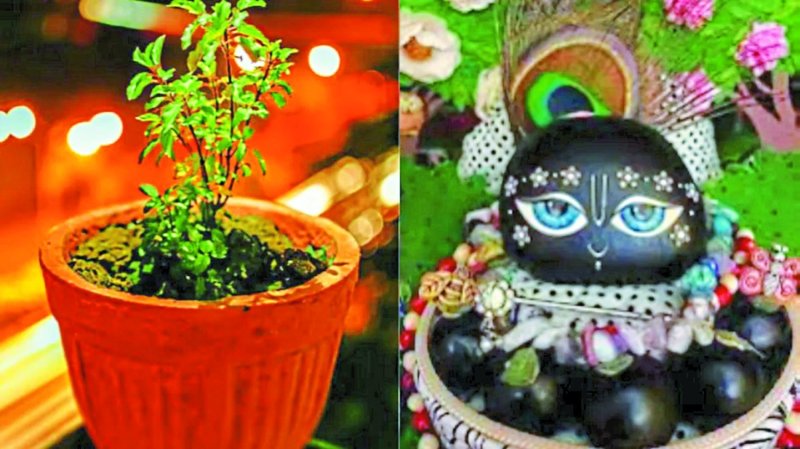 Tulshi Vivah Gyarash