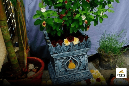 Tulsi Puja Niyam