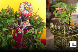 Tulsi Vivah 2024: तुलसी विवाह के दिन करें ये शुभ कार्य, होगी मनोकामना पूरी - image