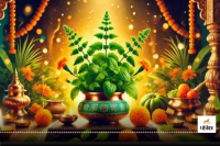 Tulsi vivah Shubh Yog