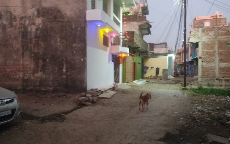 Tenders were canceled in the PIC meeting, but were not renewed.