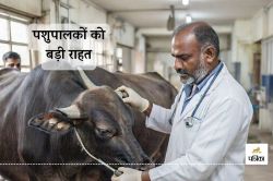 animal diseases : जानवरों की बीमारियों का अनोखा शोध, जो इंसानों को भी देगा नया
जीवन, जाने पूरा सच - image