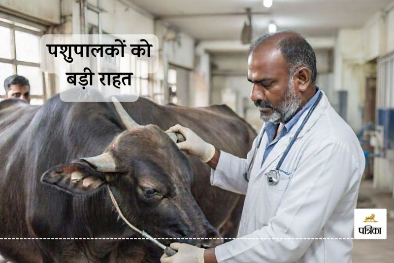 Good News Rajasthan 19 Veterinary Hospitals will be Upgraded Administrative and Financial Approval Received